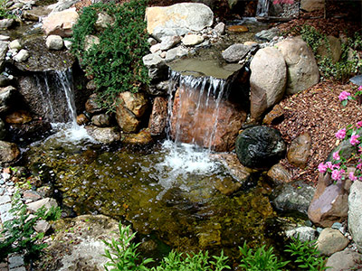 Water Gardens & Features, Saline, MI